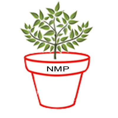 NMP CO., LTD